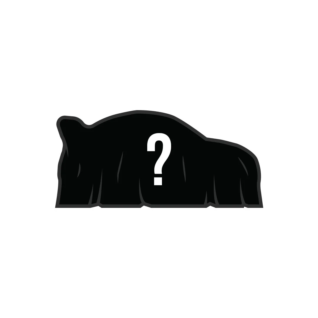 Mystery Pin - LE