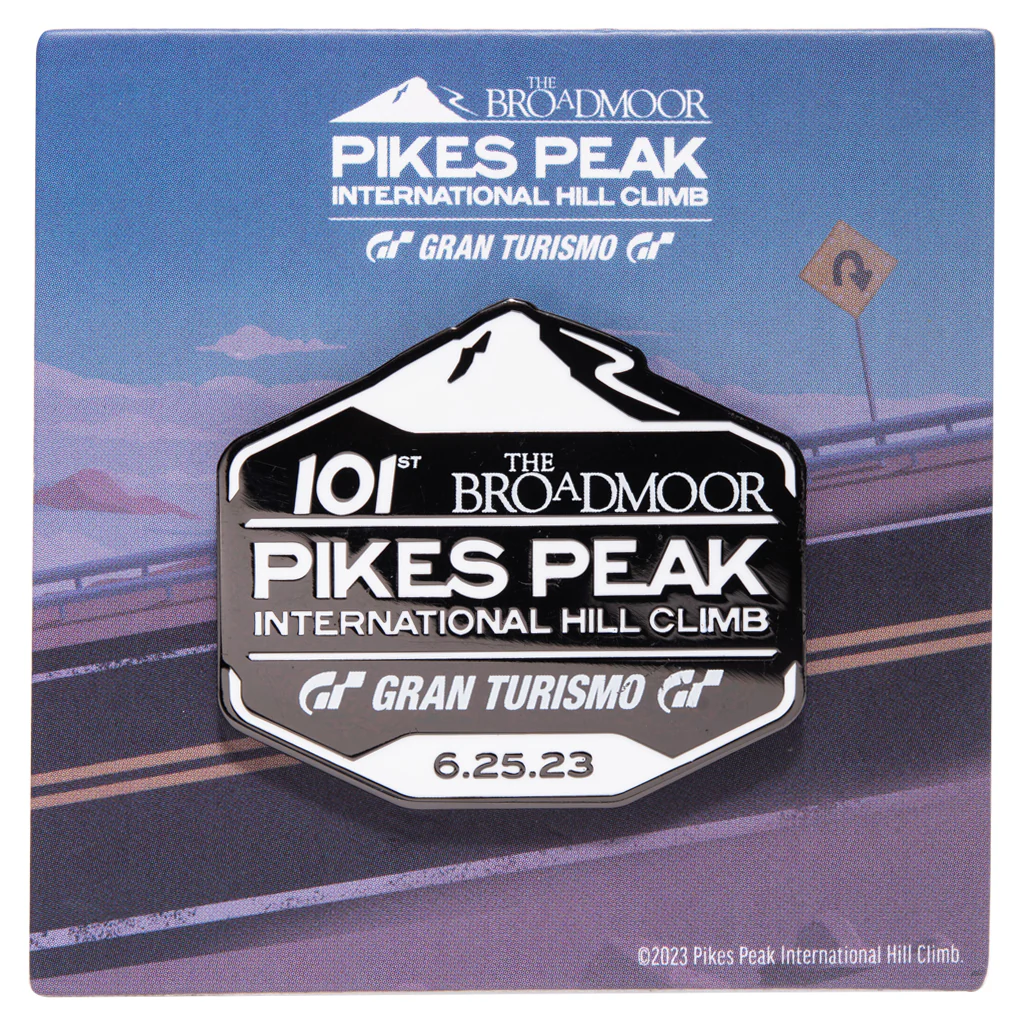 PPIHC - Logo Pin - Image 2